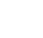 Critical Mission Consulting
