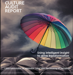 Culture Audit Report